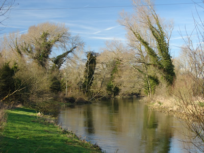 River Avon Countess